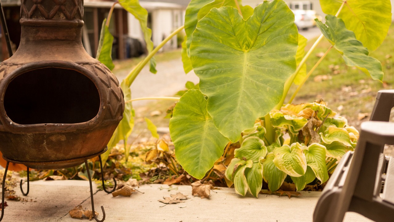 Photo of Patio Balcony in Brockton