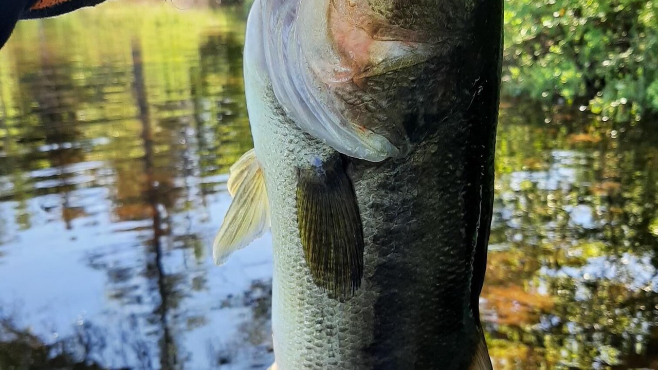 Photo of Others in Rainbow Lake