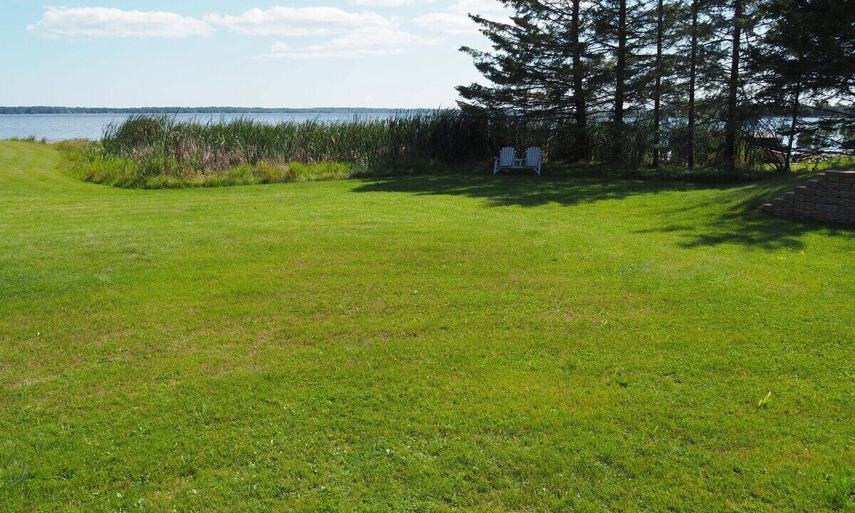 Photo of Outdoor in Gladstone