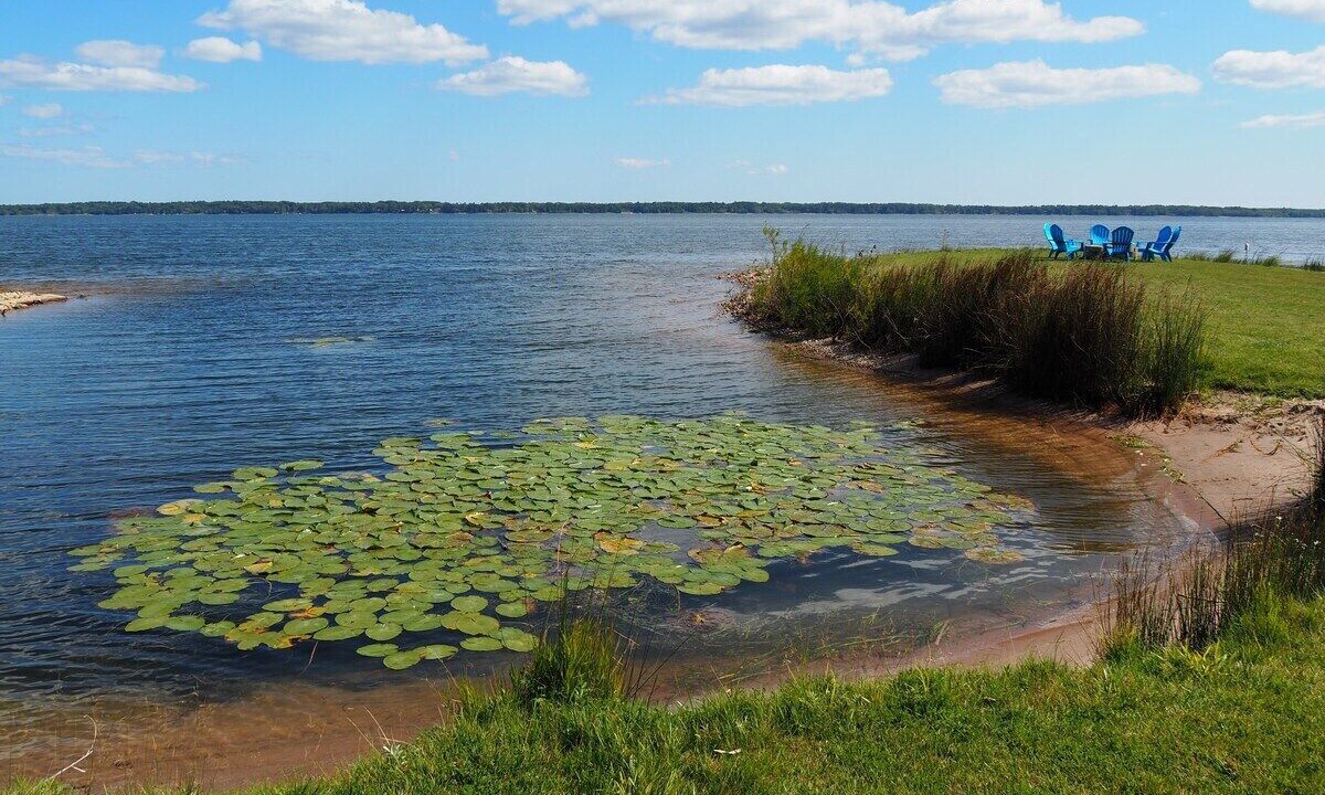 Photo of Outdoor in Gladstone