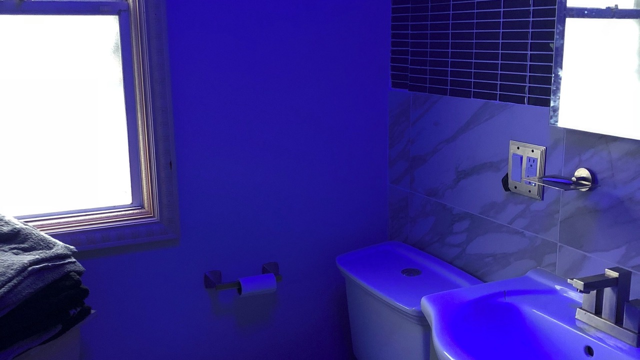 Photo of Bathroom in East Flatbush