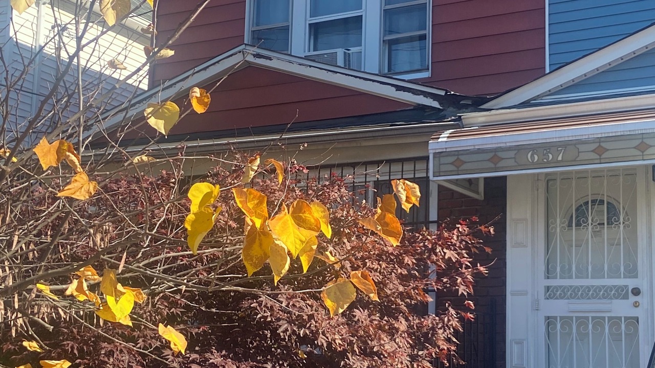 Photo of Outdoor in East Flatbush