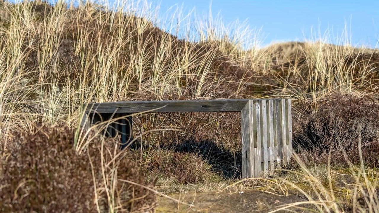 Photo of Others in Rødhus