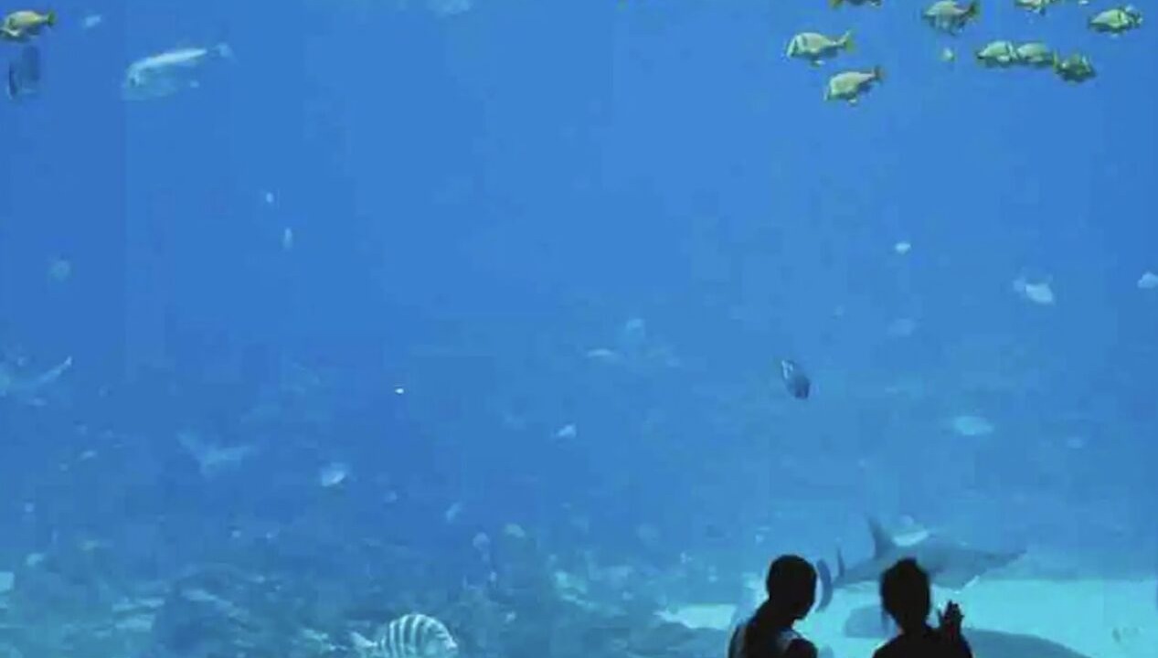 Photo of Others in Atlanta