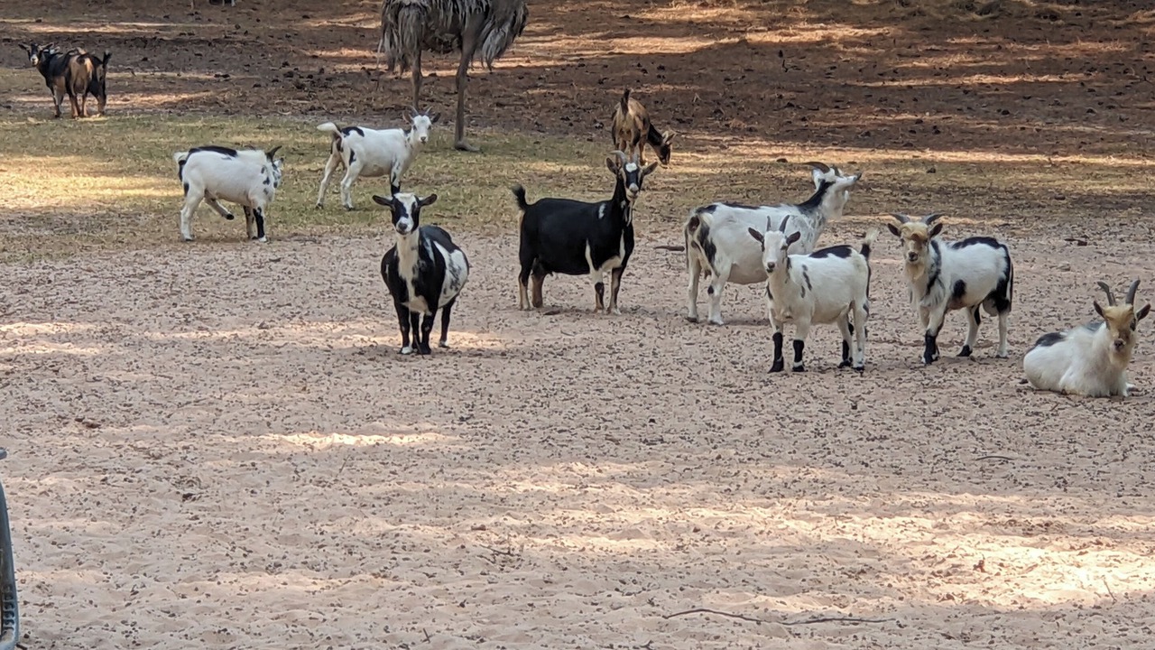 Photo of Others in Montgomery