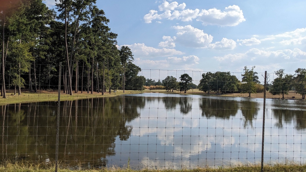 Photo of Others in Montgomery