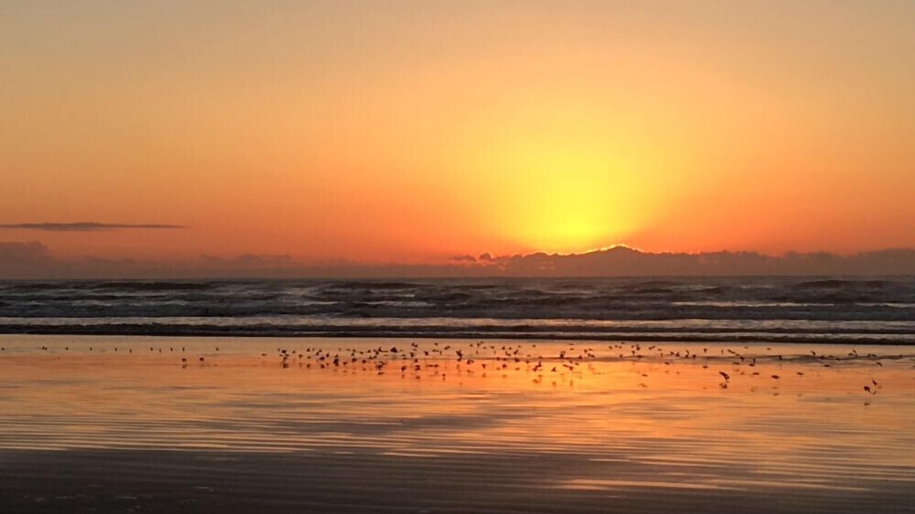 Photo of Others in Moclips