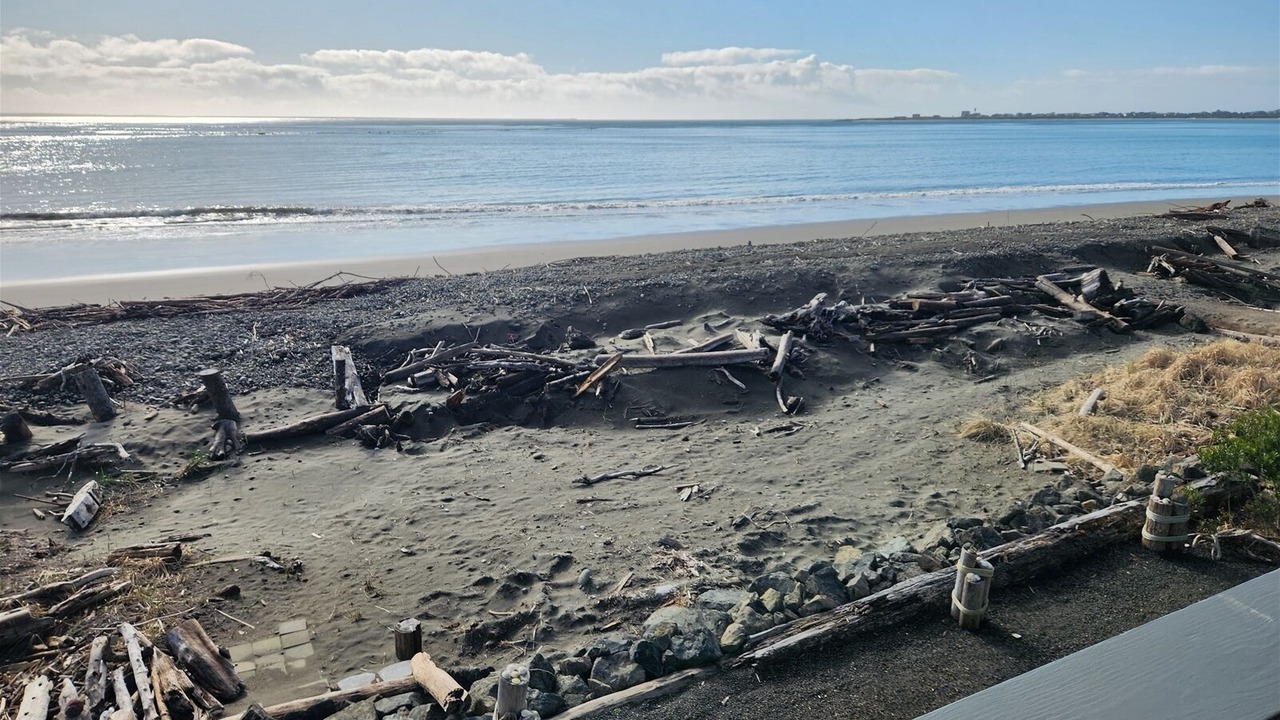 Photo of Others in Ocean Shores