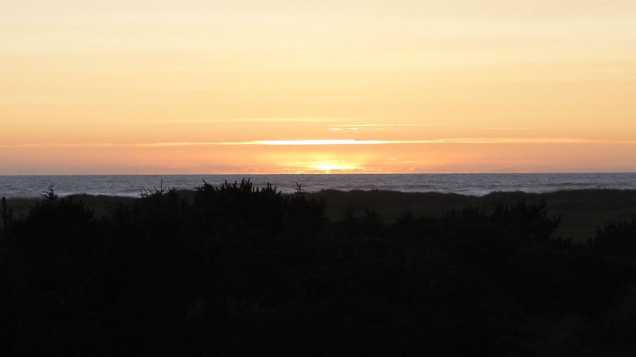 Photo of Others in Copalis Beach