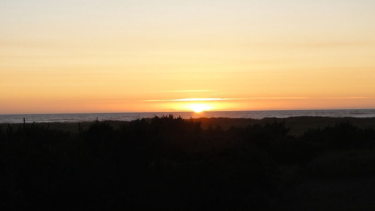 Photo of Others in Copalis Beach