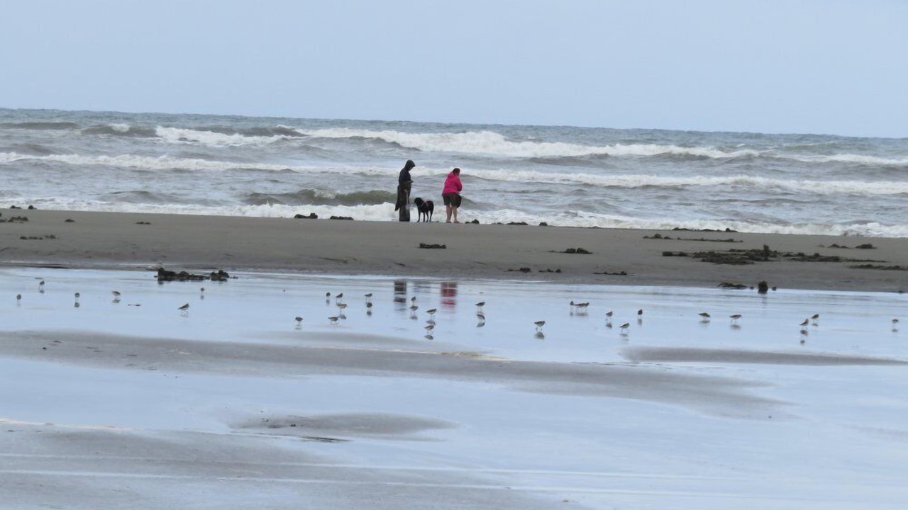 Photo of Others in Ocean Shores