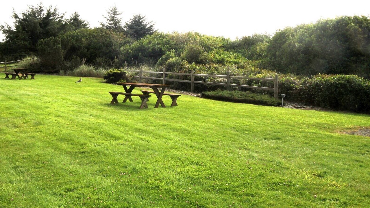 Photo of Outdoor in Ocean Shores