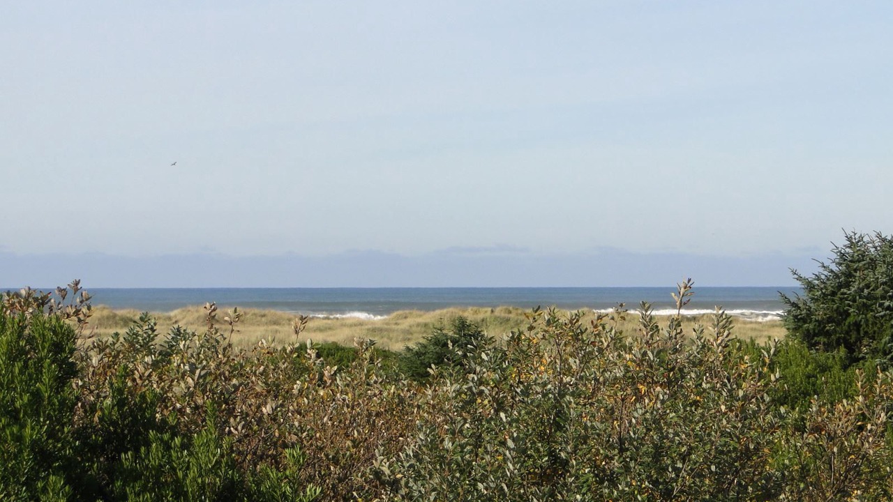 Photo of Others in Ocean Shores