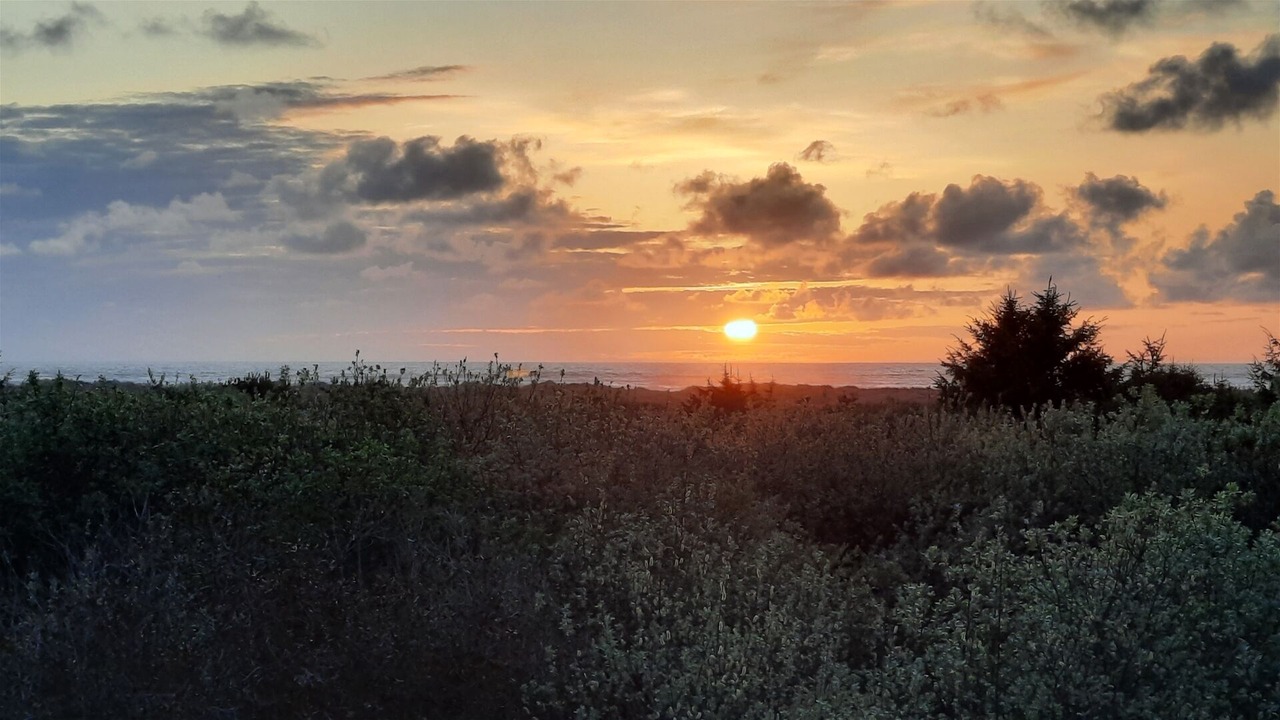 Photo of Outdoor in Ocean Shores