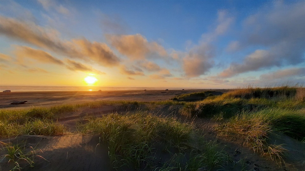 Photo of Others in Ocean Shores