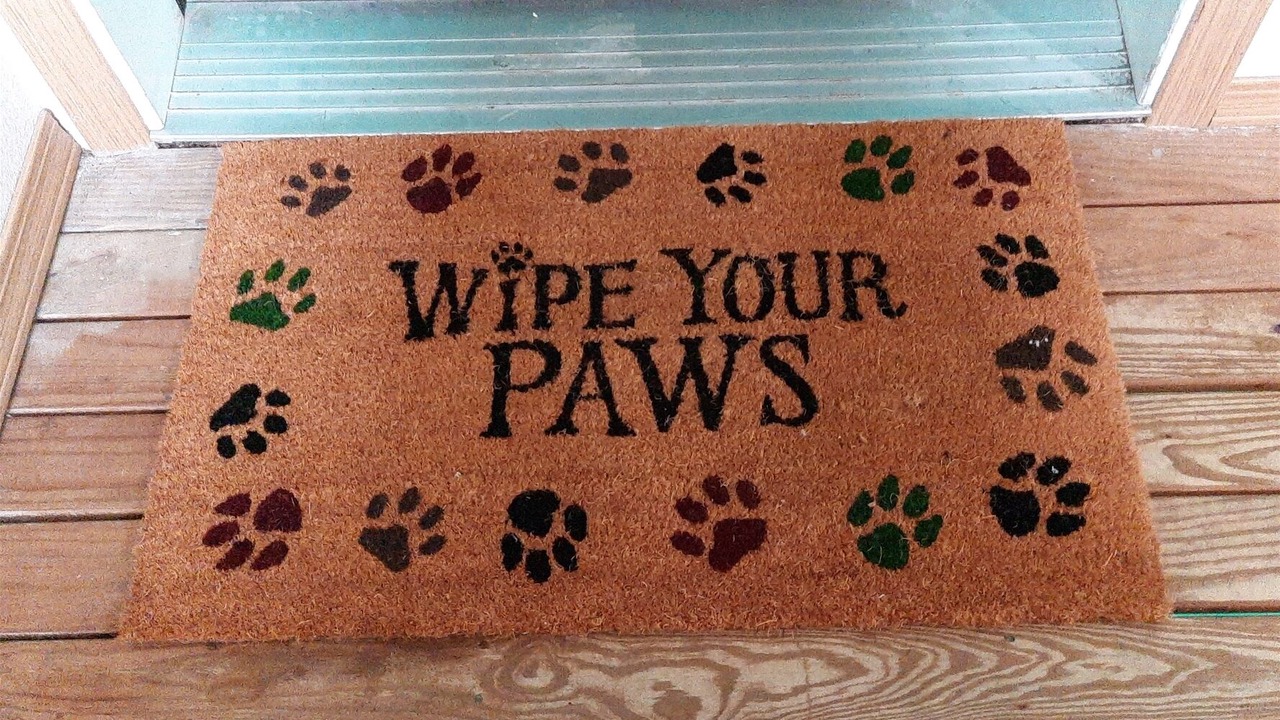 Photo of Others in Ocean Shores