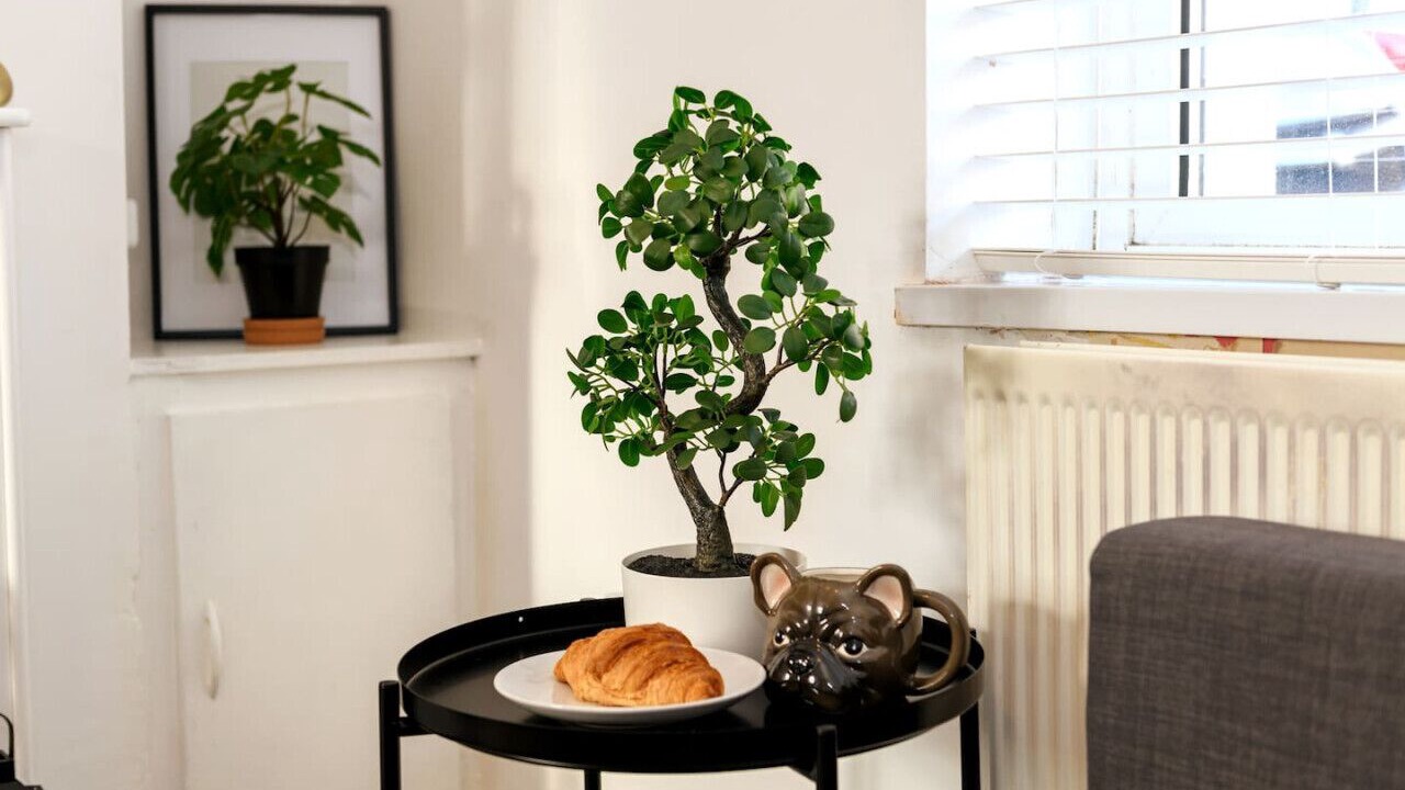 Photo of Others in Barry