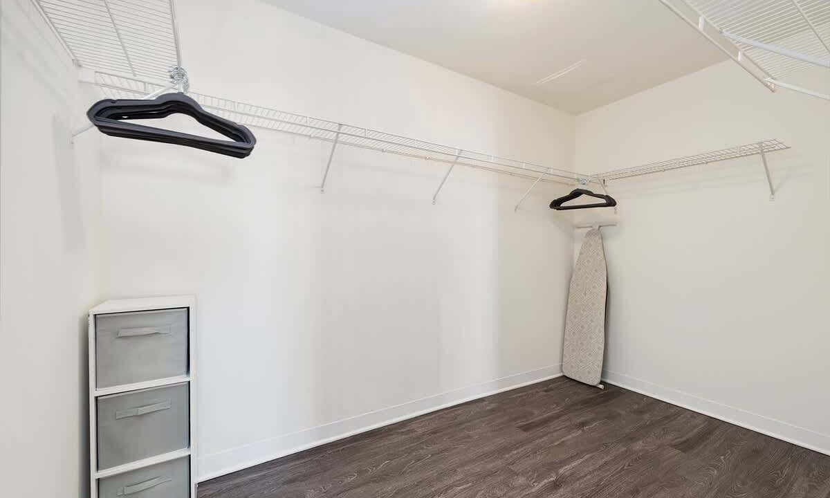 Photo of Others in Rush and Division