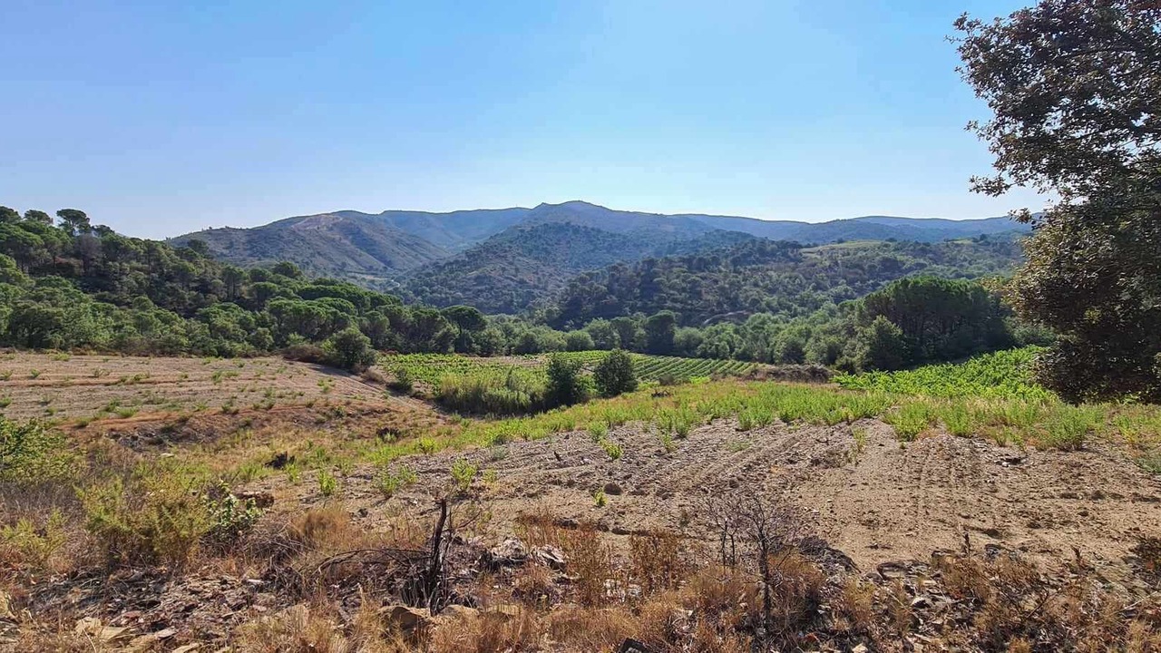 Photo of Others in Estagel