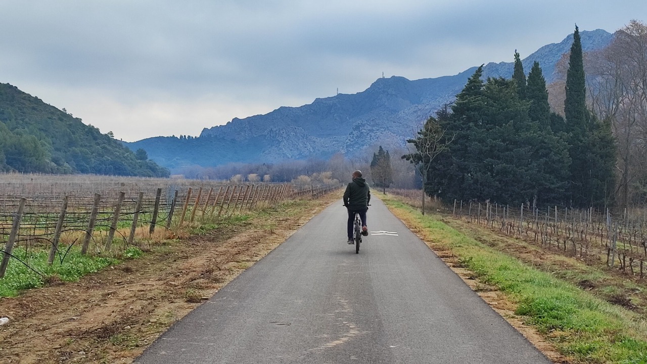 Photo of Others in Estagel