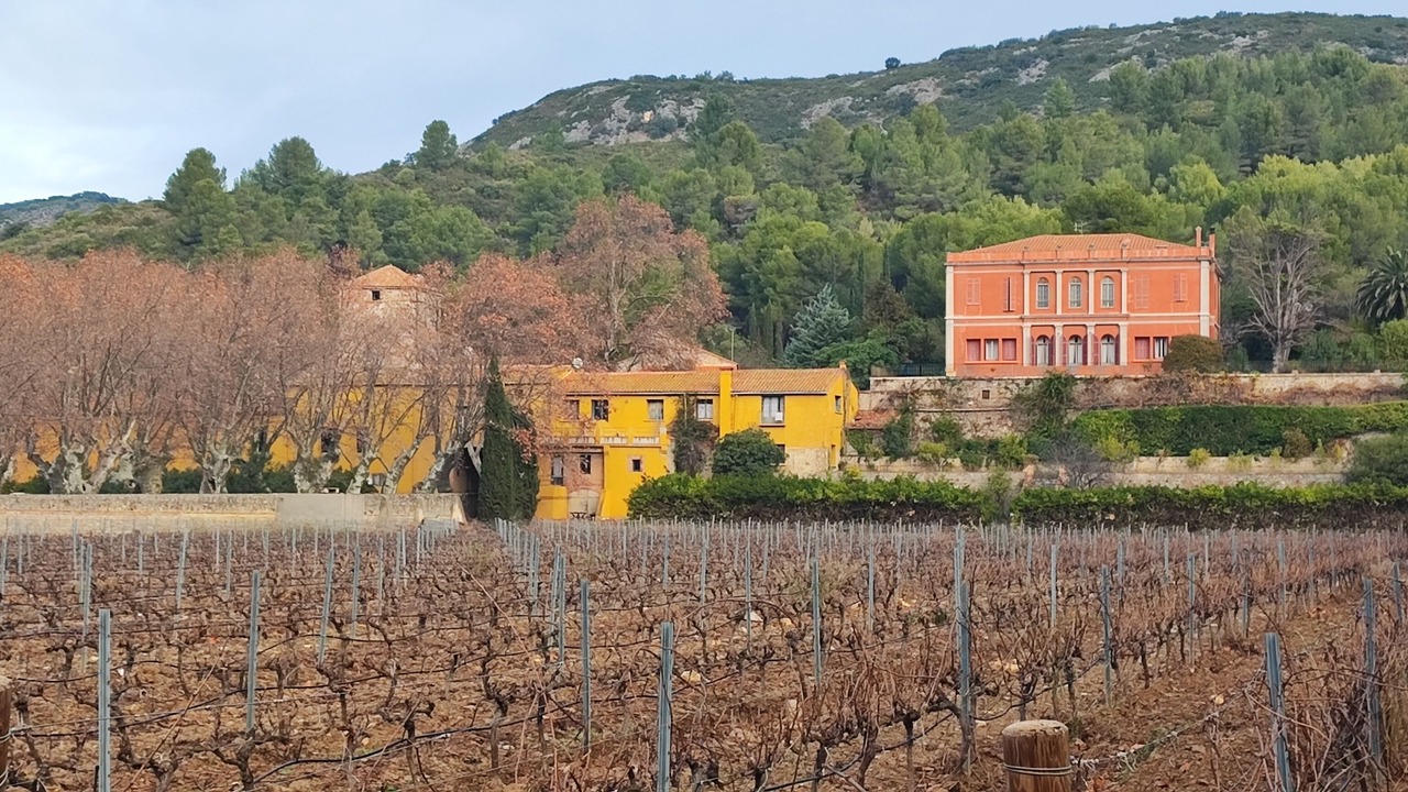 Photo of Outdoor in Estagel