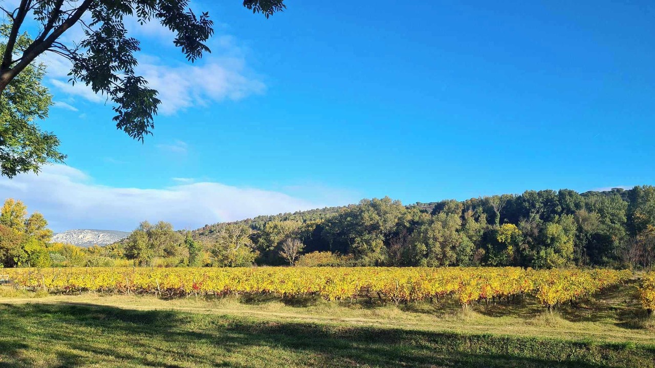 Photo of Outdoor in Estagel