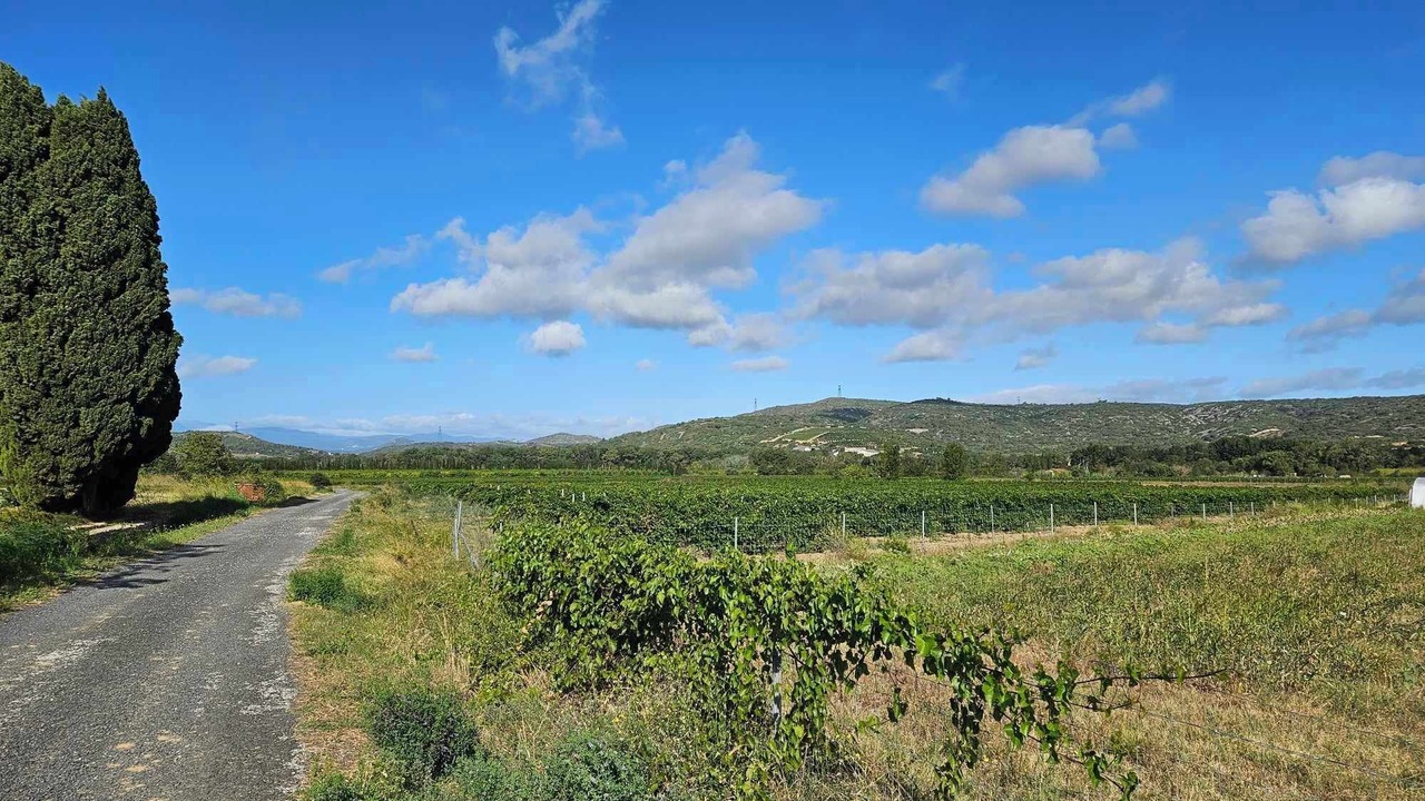 Photo of Outdoor in Estagel