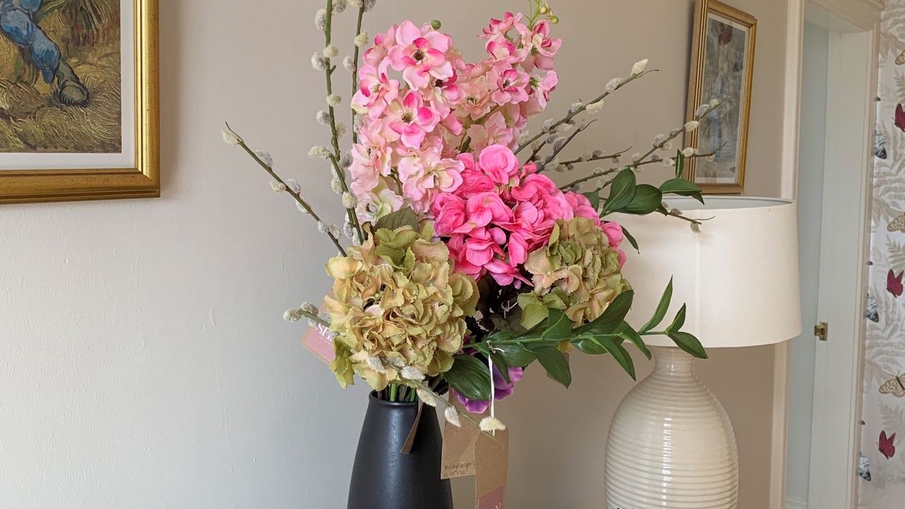 Photo of Others in Scotch Street