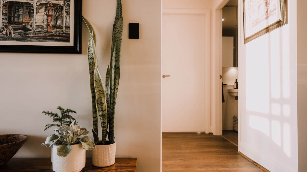 Photo of Others in Sydney Olympic Park