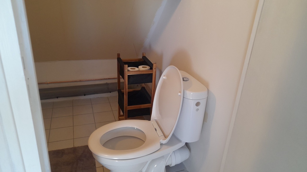 Photo of Bathroom in Sarrancolin