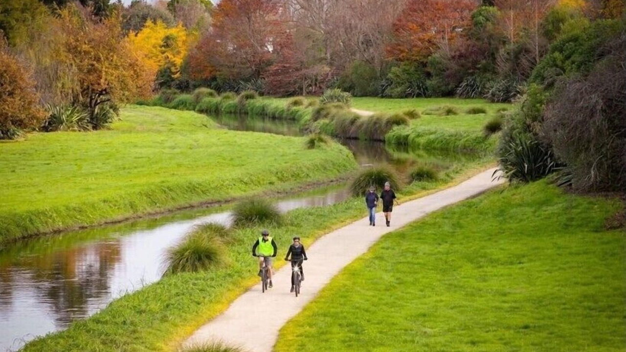 Photo of Others in Havelock North