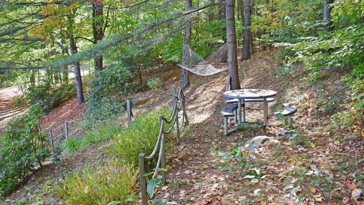 Photo of Outdoor in Chestertown