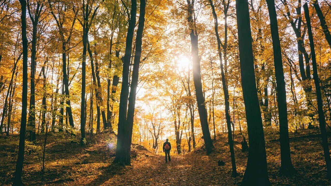 Photo of Outdoor in Marcell