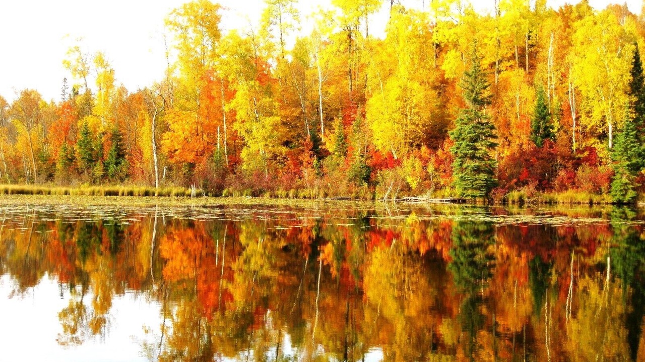 Photo of Outdoor in Marcell