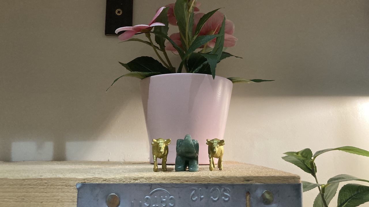 Photo of Others in Sheffield City Centre