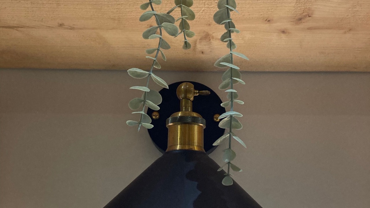 Photo of Others in Sheffield City Centre