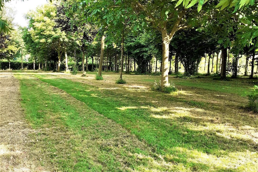 Photo of Outdoor in Beaumont-le-Hareng