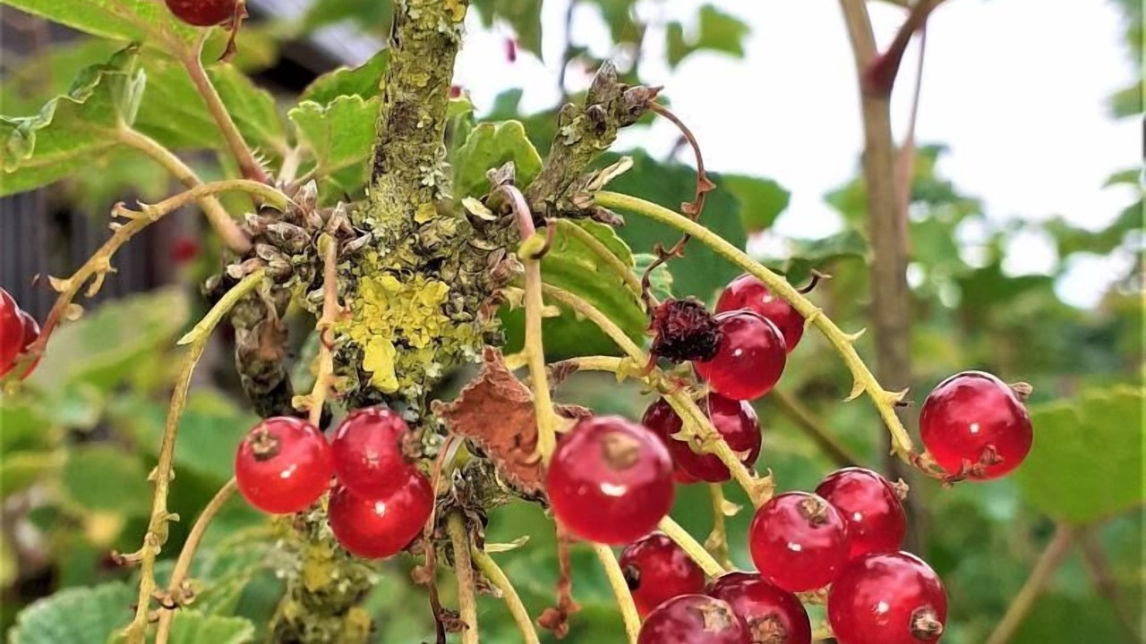 Photo of Others in Beaumont-le-Hareng
