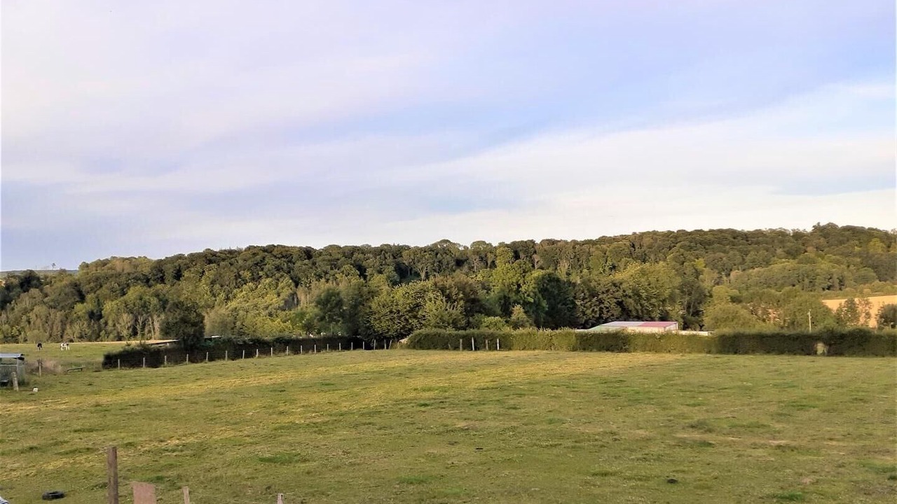 Photo of Outdoor in Beaumont-le-Hareng