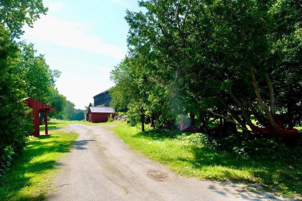 Photo of Outdoor in Erin