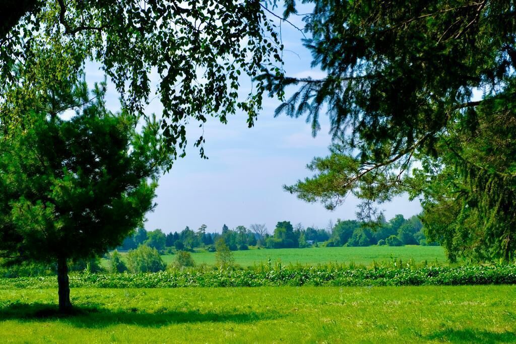 Photo of Outdoor in Erin
