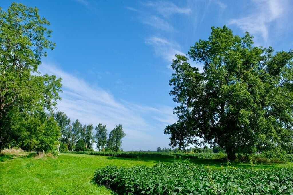 Photo of Outdoor in Erin