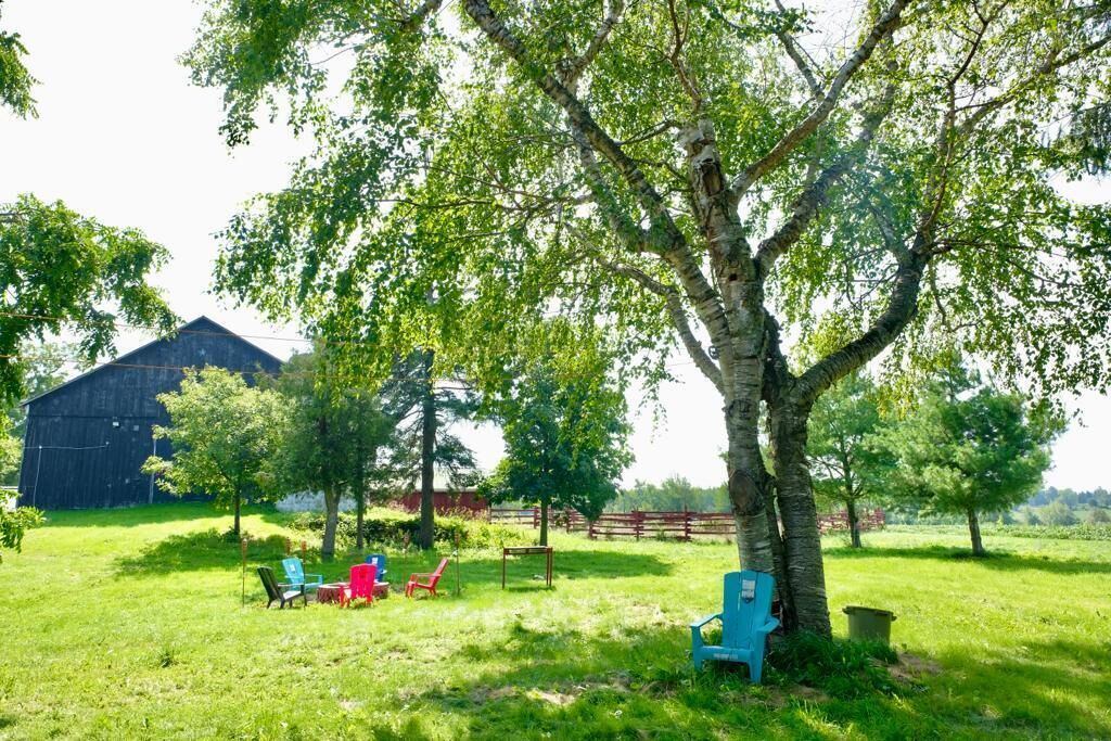 Photo of Outdoor in Erin