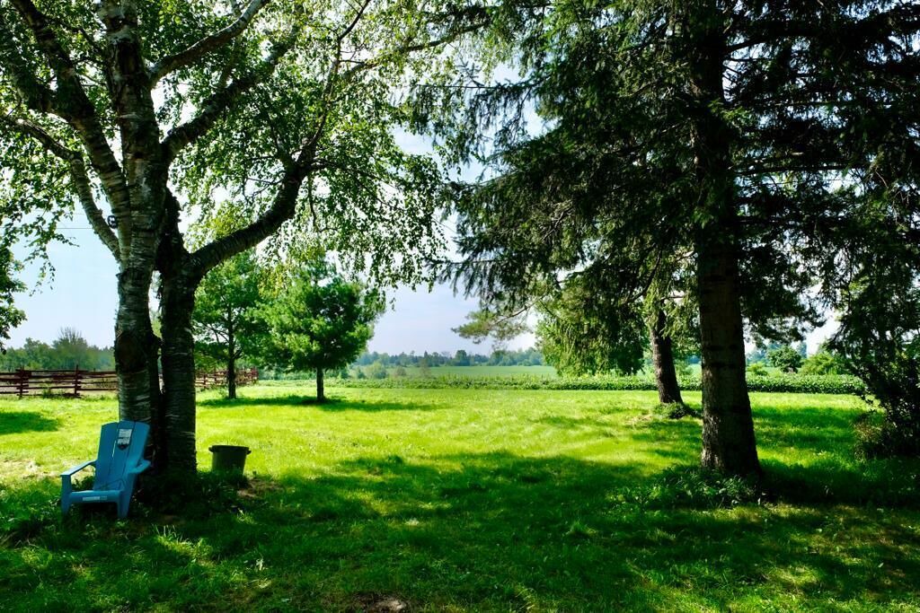 Photo of Outdoor in Erin