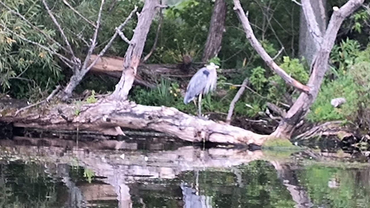 Photo of Outdoor in Perry