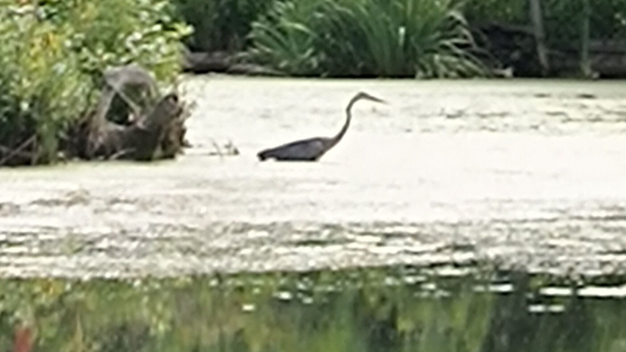 Photo of Outdoor in Perry