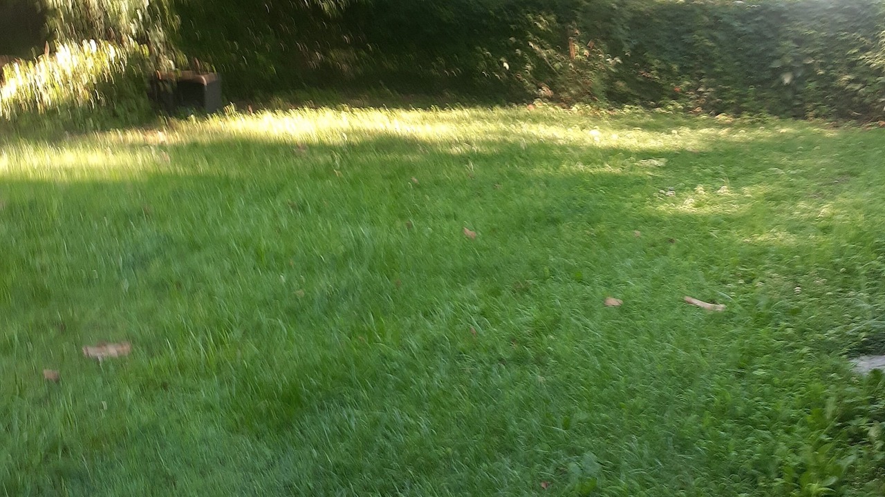 Photo of Outdoor in Ampere