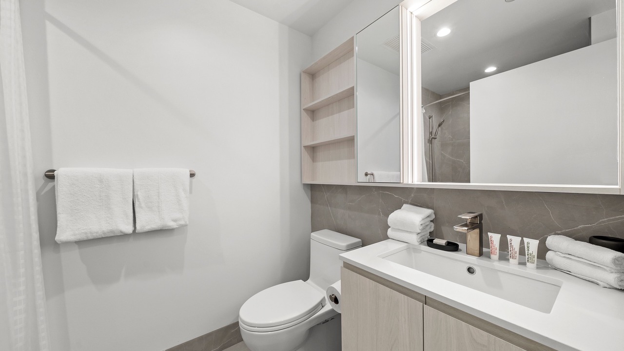 Photo of Bathroom in Downtown Chicago