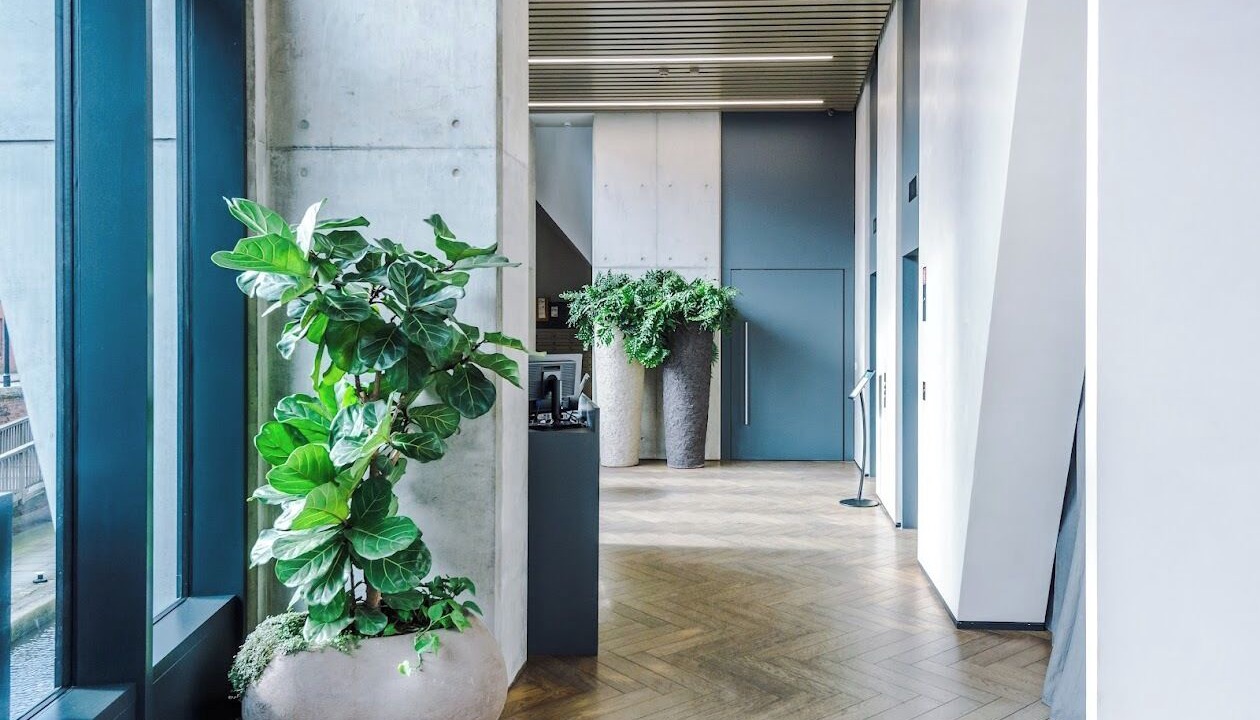 Photo of Others in Castlefield