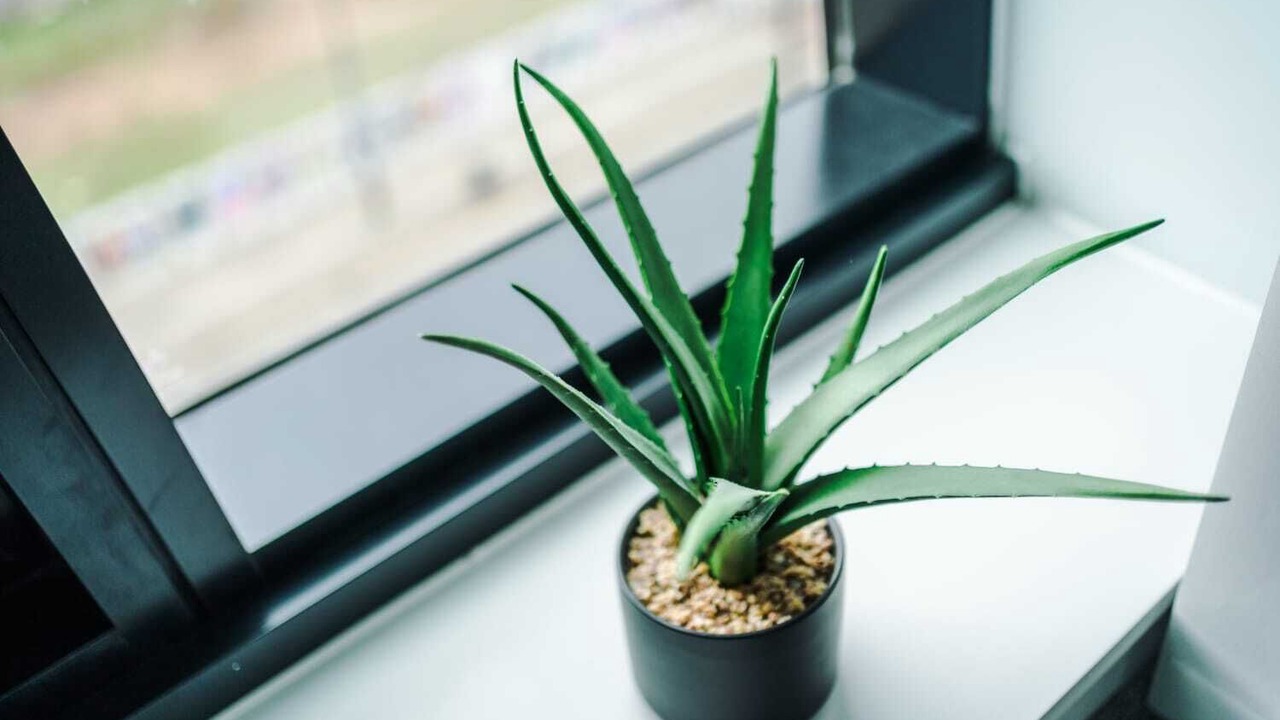 Photo of Others in Castlefield